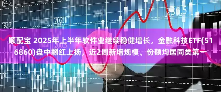 顺配宝 2025年上半年软件业继续稳健增长，金融科技ETF(516860)盘中翻红上扬，近2周新增规模、份额均居同类第一